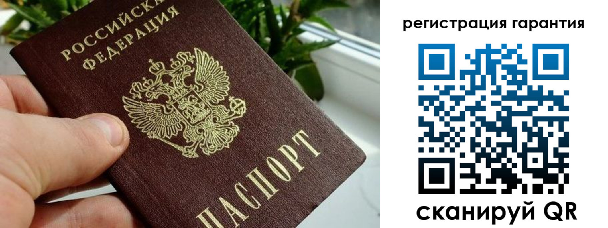 временная регистрация надежно в Советске